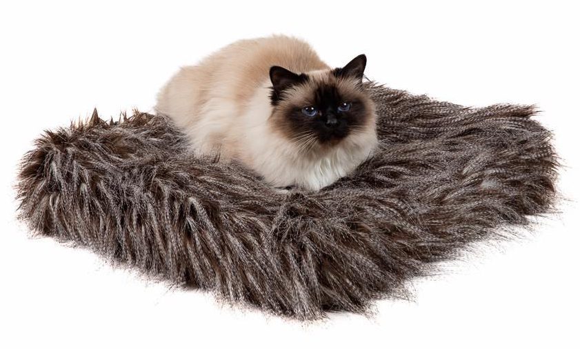 Save £12 on this luxury fur cat bed 