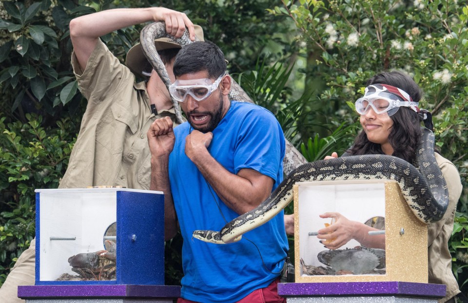 Amir Khan looked terrified as he faced his fear of snakes