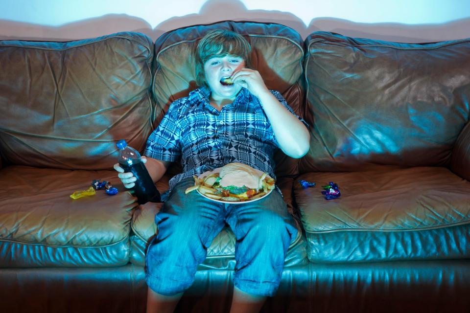  Research has shown the majority of adverts played during family TV shows promote food containing unhealthy levels of fat, sugar or salt