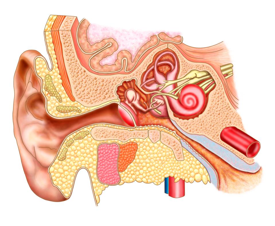  Cotton buds can push wax further down the ear canal and even damage the ear drum, according to draft guidelines from Mice