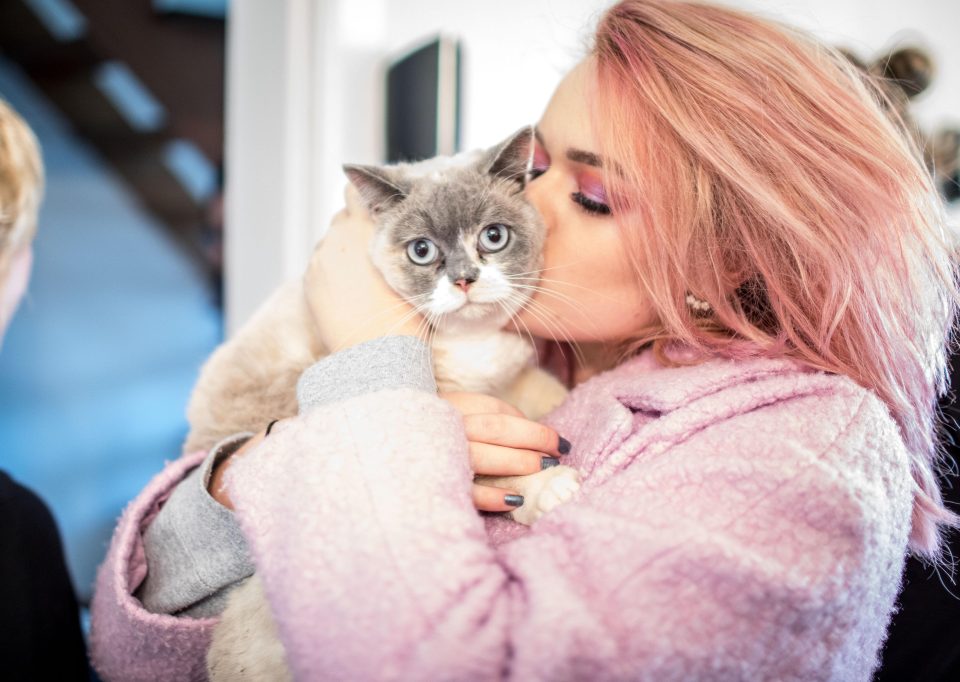  Grace was delighted to be reunited with her beloved cats