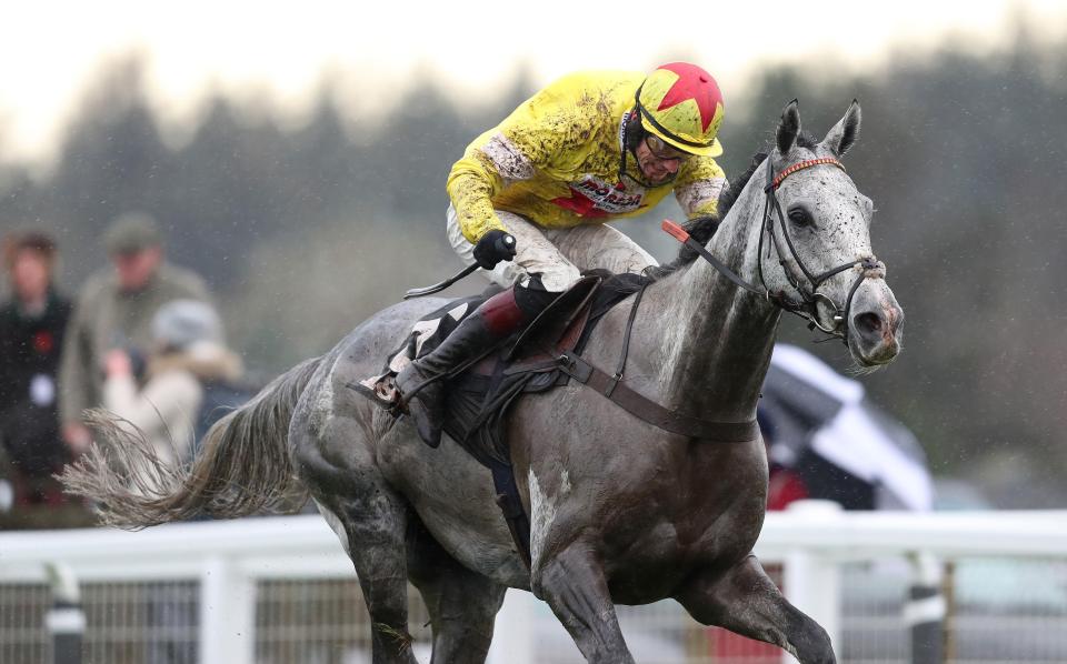  Politologue looked a future star after his Haldon Gold Cup win