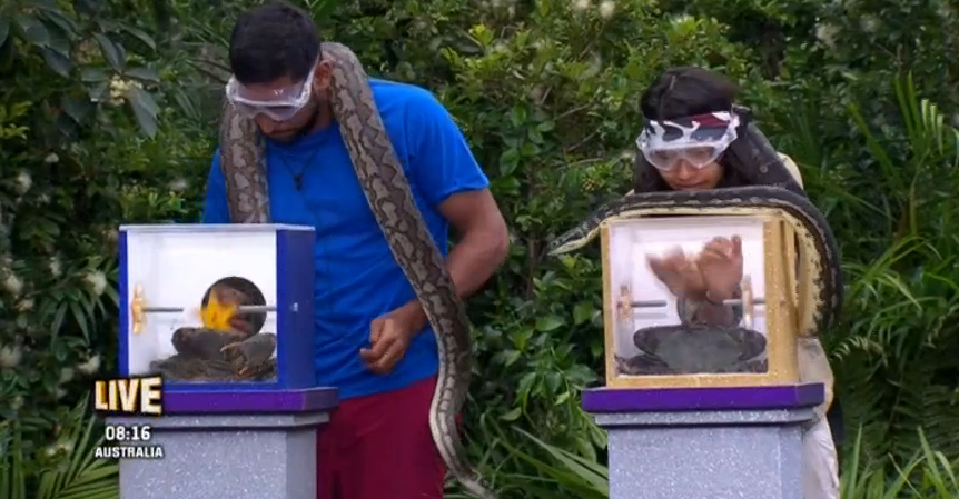 After much flapping Amir agreed to wear the snake while manoeuvring a crab alongside Vanessa