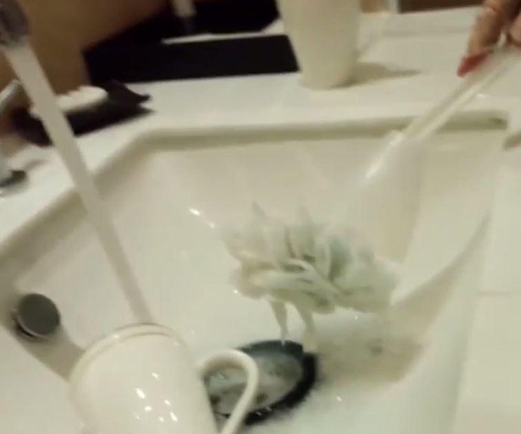  Cleaners were shown using toilet brushes to clean the sink