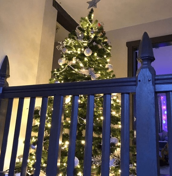  Katie has a tree on top of her stairs