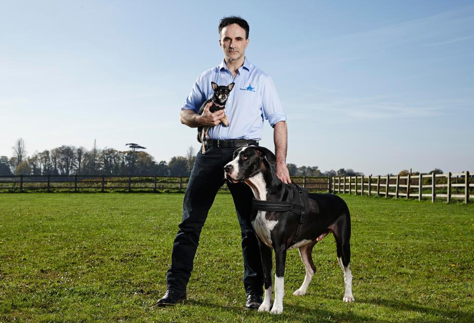  Fitzpatrick is a world class veterinary surgeon and runs Fitzpatrick Referrals