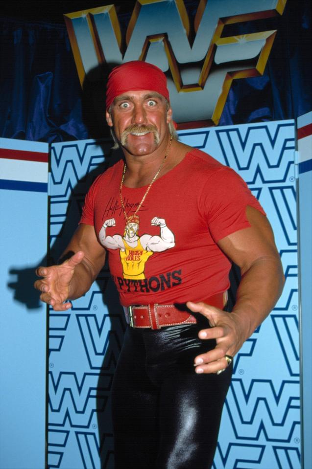  The success of Hulk Hogan helped make Vince McMohan a billionaire