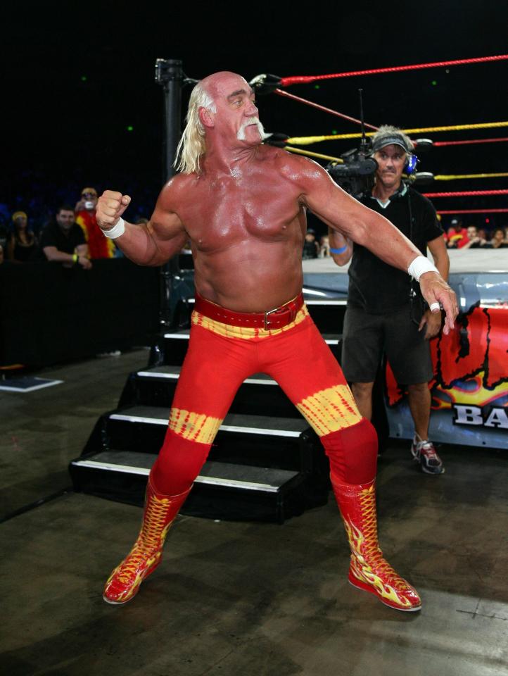  Wrestling was taken into the mainstream by Hulk Hogan