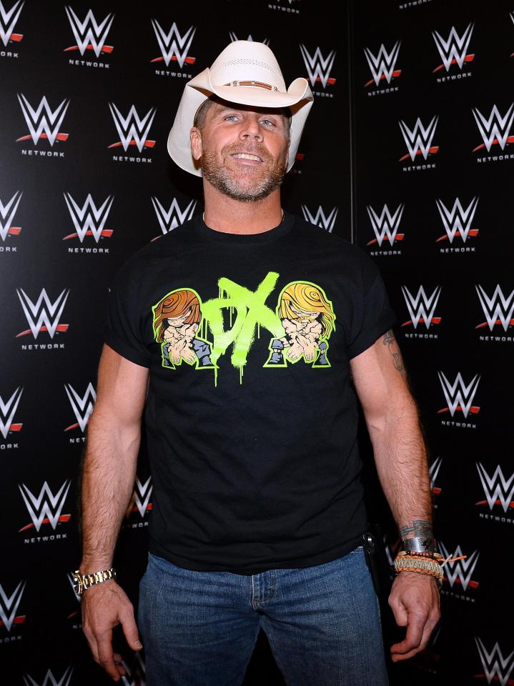  Shawn Michaels was the co-star of Degeneration-X