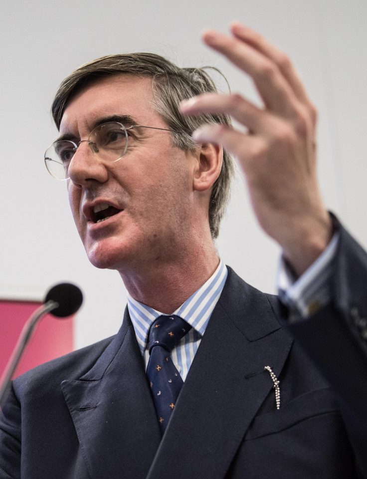  Tory MP Jacob Rees-Mogg said the resignation 'raises more questions about how the police behave'