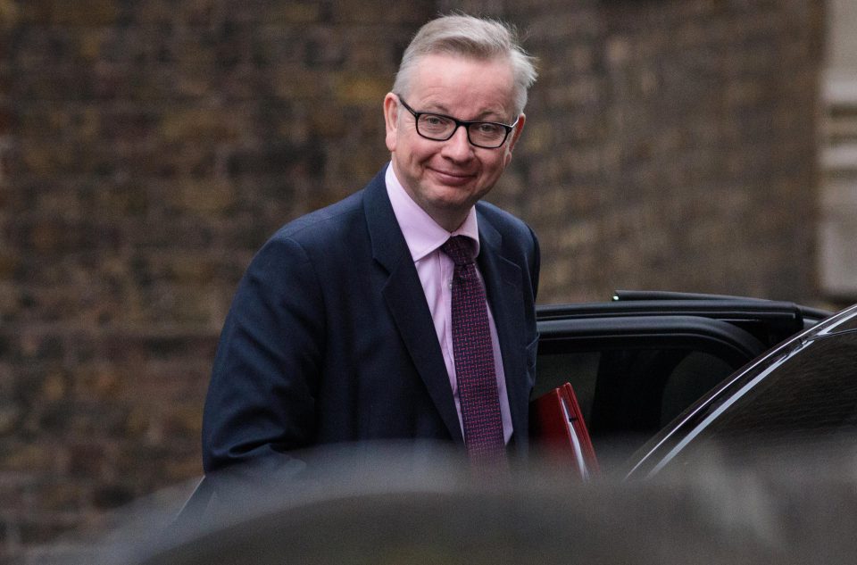  The foreign secretary is supported in his position by the environment secretary Michael Gove