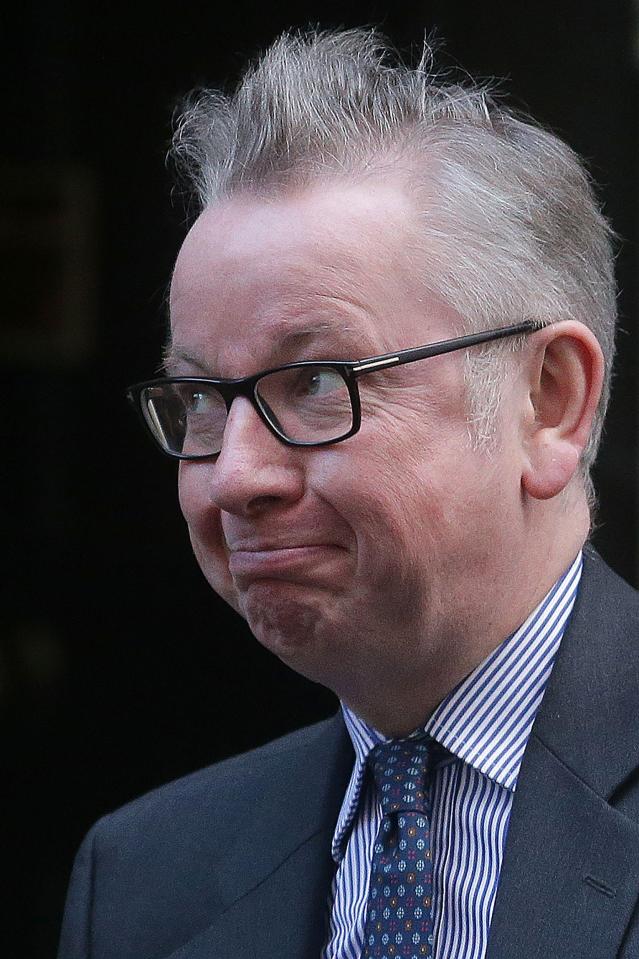  Brexiteer Michael Gove was also allegedly told that the clause was only included to trick the Irish into signing