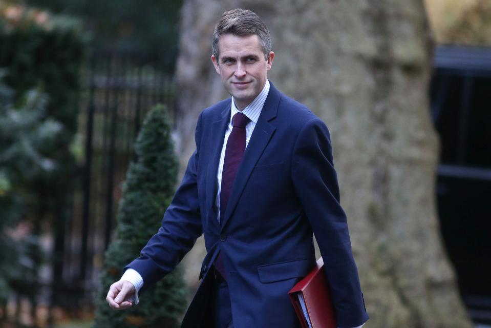  Defence Minister Gavin Williamson allegedly went for the "throat" in a heated commons row with Chancellor Philip Hammond