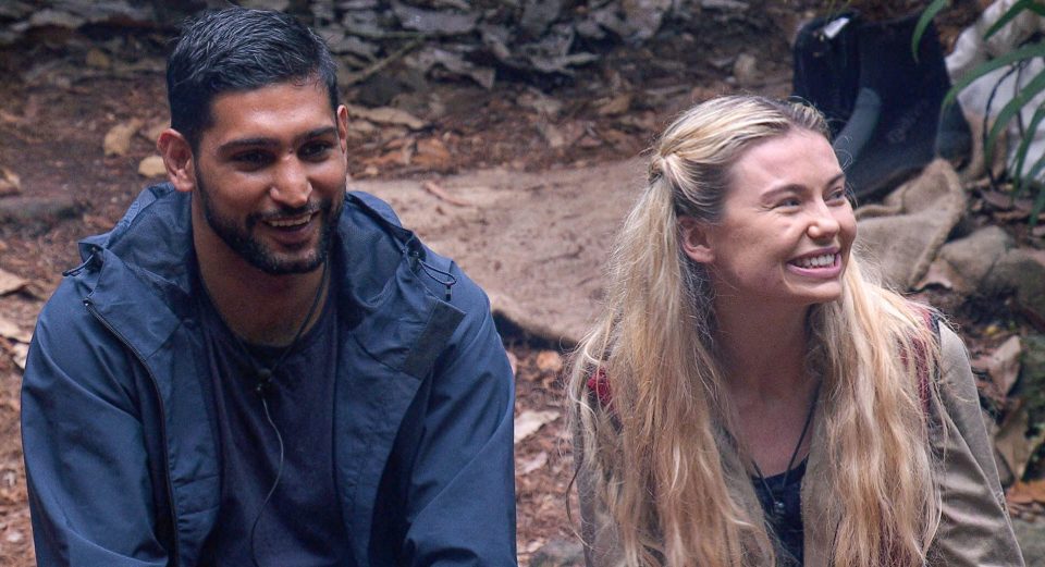  Amir Khan got £300k for his three-week stint in the jungle but eventually turned off viewers massively