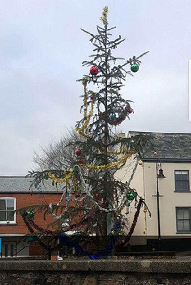 Residents compared the tree to a skeleton