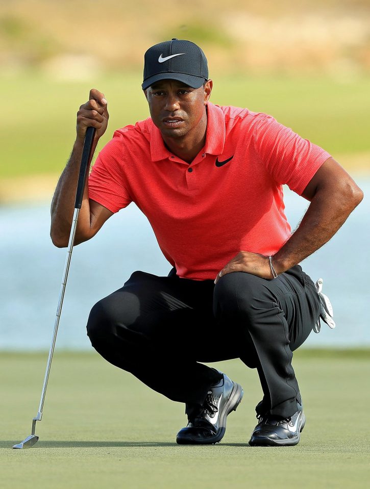  Tiger Woods has called Joe Lewis "my business mentor"