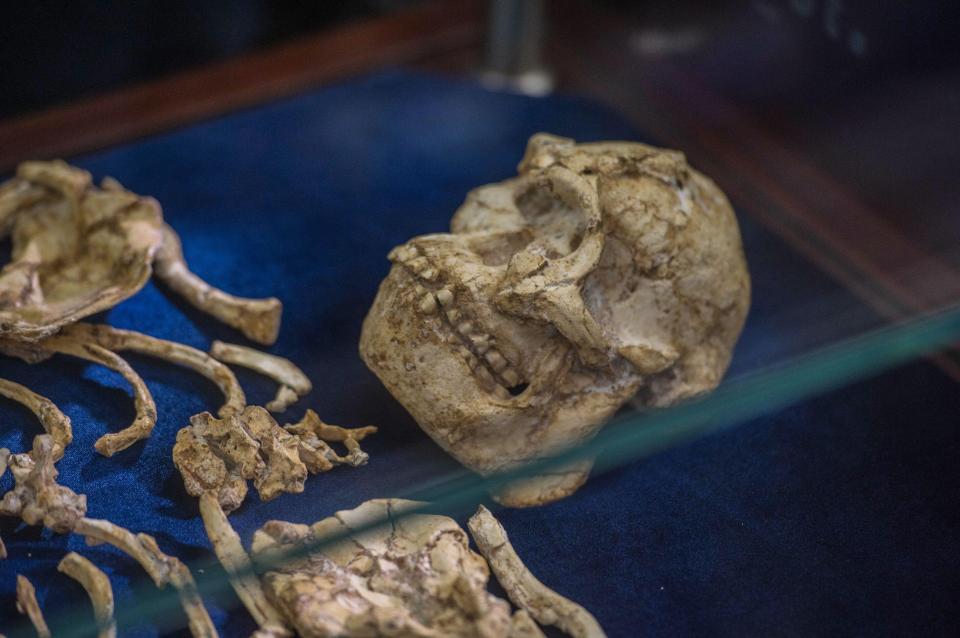  Little Foot is believed to be the remains of a 20-year-old woman who fell to her death