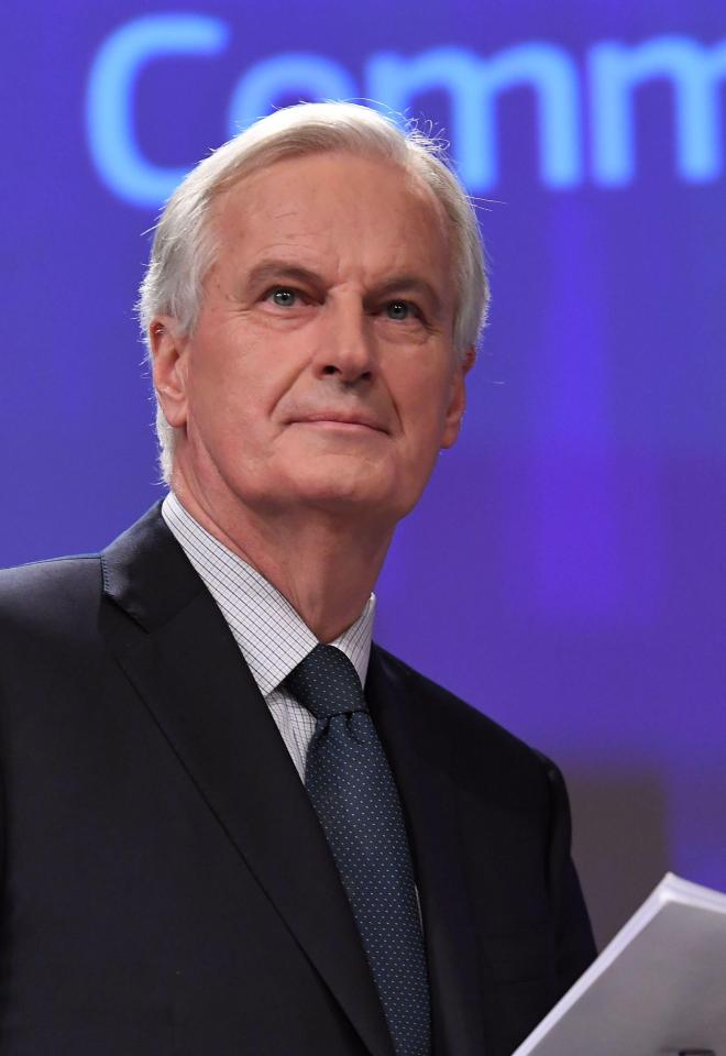  Michel Barnier and his team will look like 'pussycats' according to pro-Brexit source