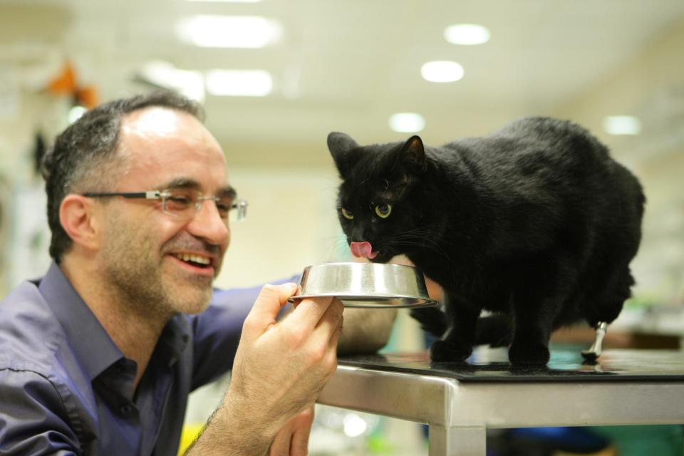  Noel Fitzpatrick has appeared on TV as The Supervet since 2014