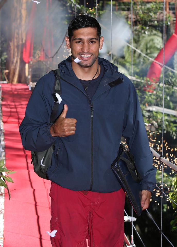  Amir looked emotional as he recalled his first conversation with Faryal since he came out of the jungle