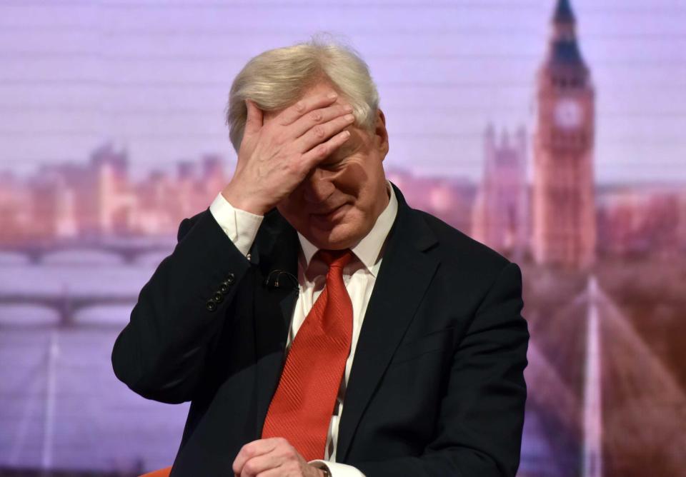  David Davis is supposed to be overseeing the whole Brexit process