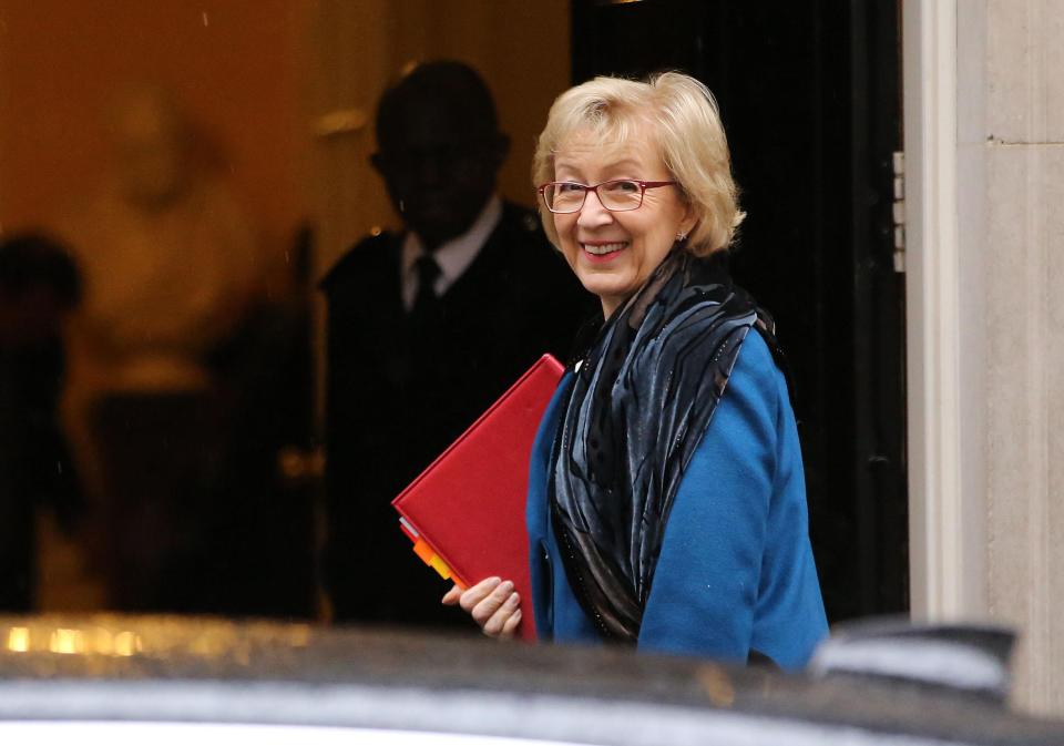  Education Secretary Justine Greening, Northern Ireland Secretary James Brokenshire and Commons Leader Andrea Leadsom, pictured, are also said to be vulnerable