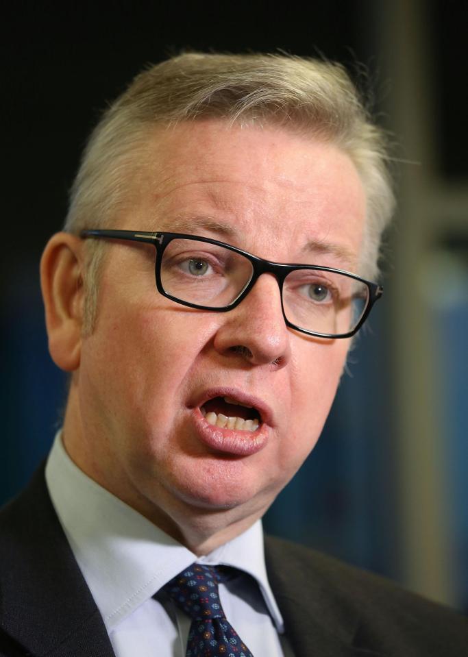  Vote Leave boss Michael Gove stands accused of 'misleading voters' over claims the money the UK sends to Brussels could be spent on the NHS