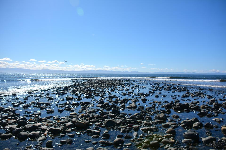 The feet have been washing up off the coast of British Columbia