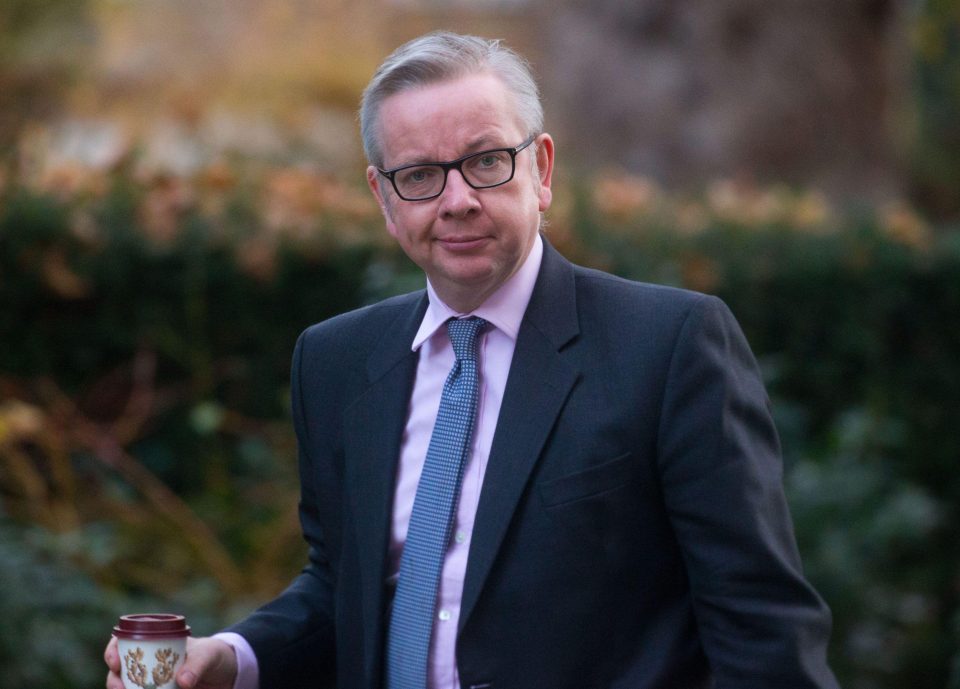  Environment Secretary Michael Gove said much, much more must be done to tackle the problem