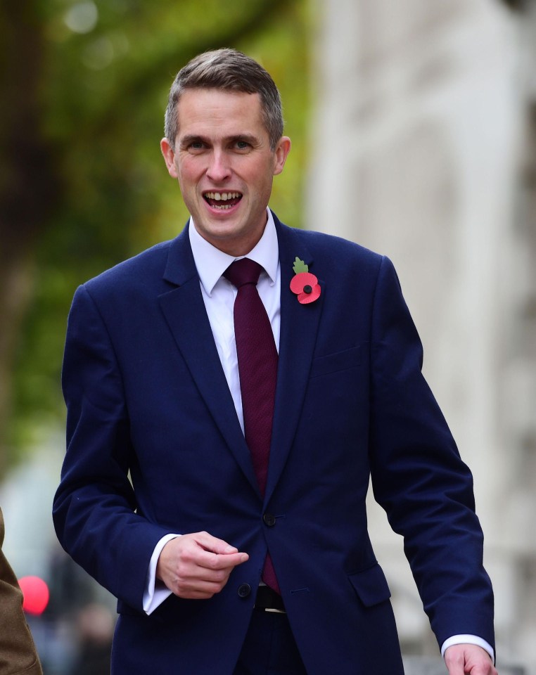 Defence Secretary Gavin Williamson spectacularly stepped in to scrap the plans