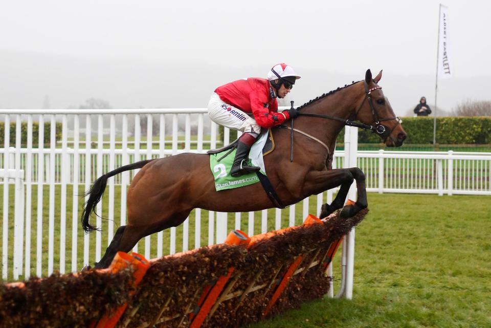  The New One is set to run in the Stayers' Hurdle