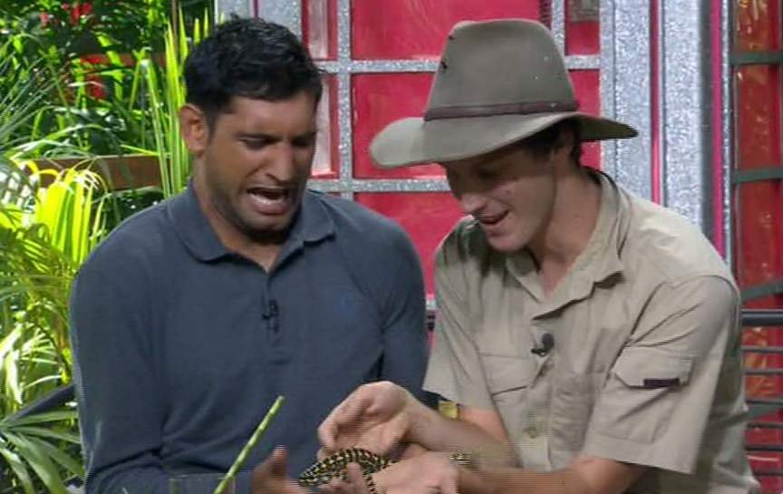 Amir was shocked to learn that he hasn’t grabbed a python three weeks ago