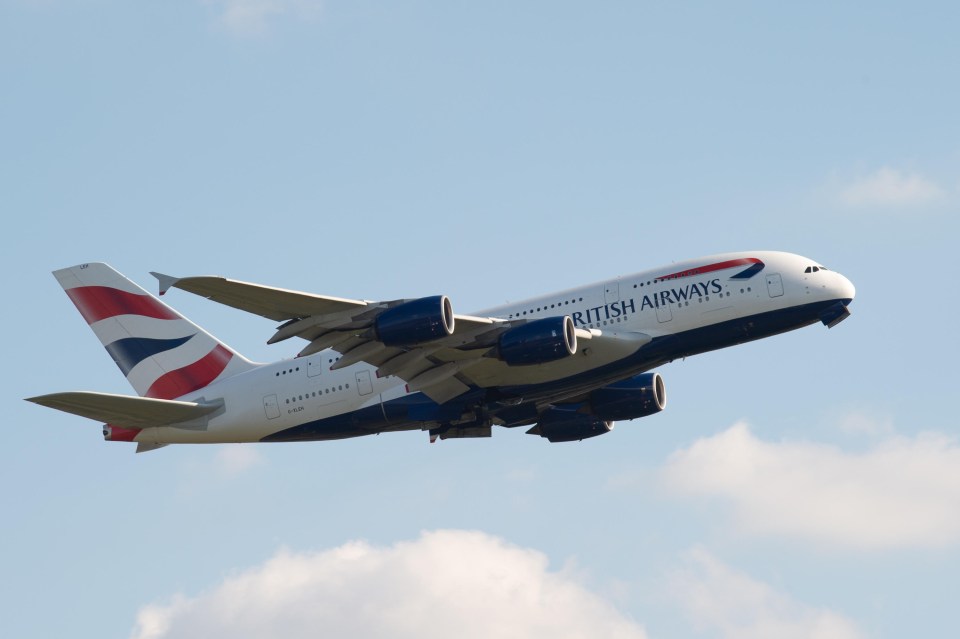 A passenger tried to open a plane door mid-flight