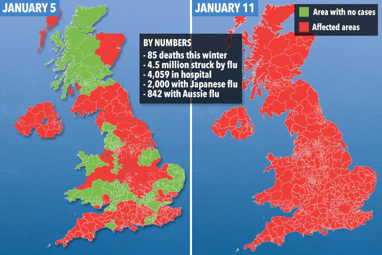  Flu deaths have doubled in just a week as Aussie flu grips the nation