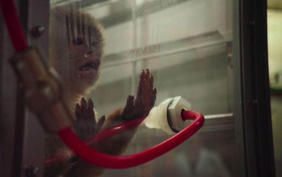  Re-enactment revealed how monkeys were caged with diesel fumes pumped in