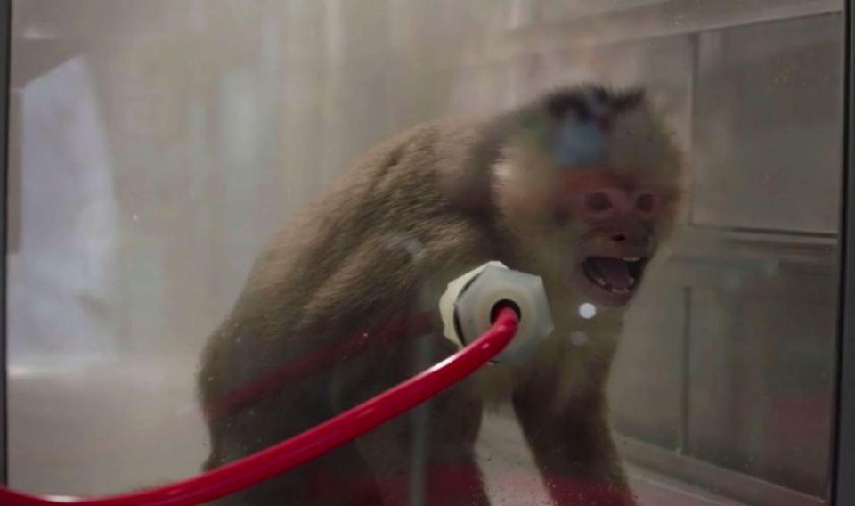  Netflix documentary claimed monkeys were used in testing and mocked up how it worked