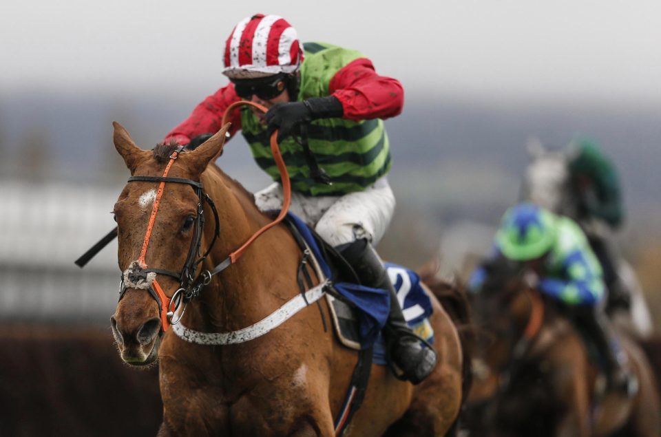  Definitly Red has a Grand National entry but will head for the Gold Cup first