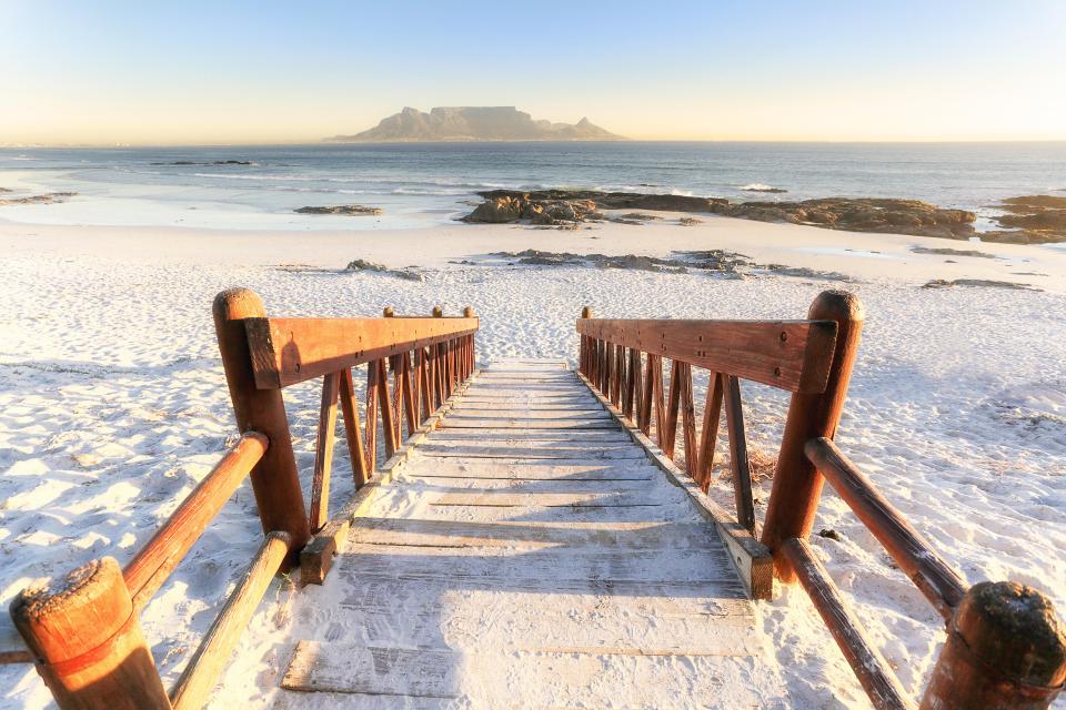  Look for penguins under the Boulders Beach boardwalk