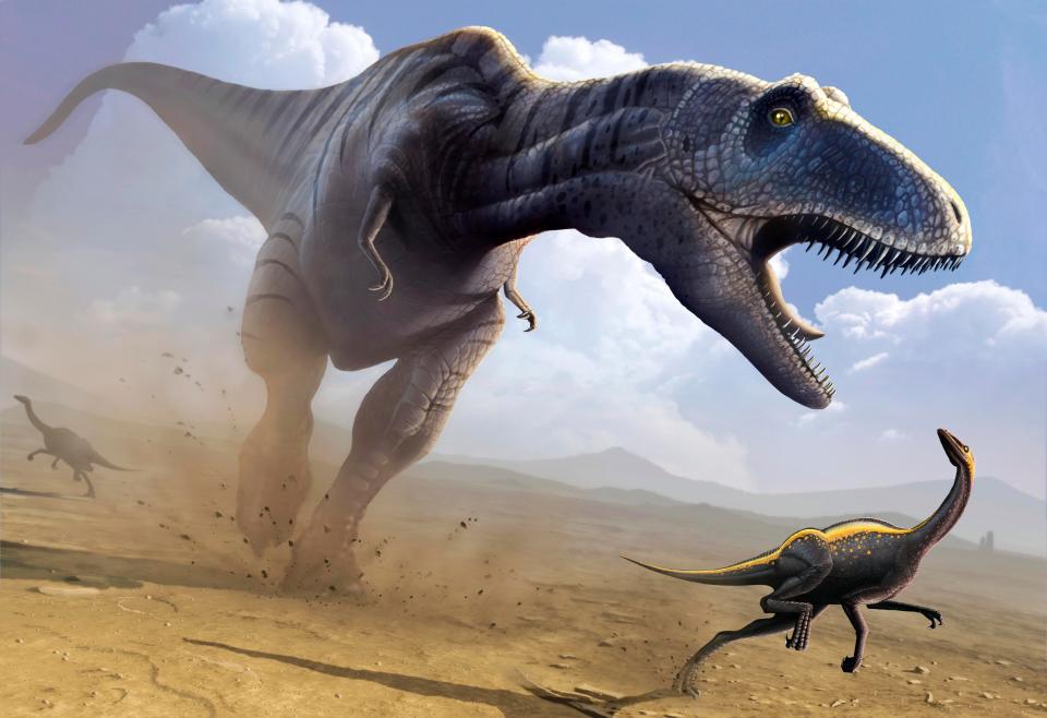  An artist's impression of the Tyrannosaurus Rex