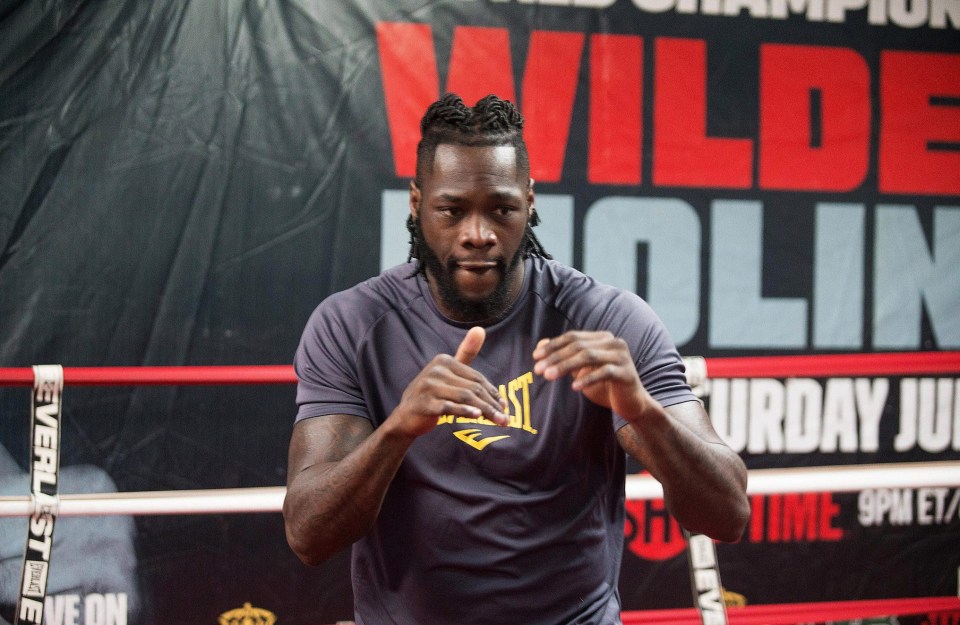 American heavyweight Deontay Wilder is calling out Anthony Joshua