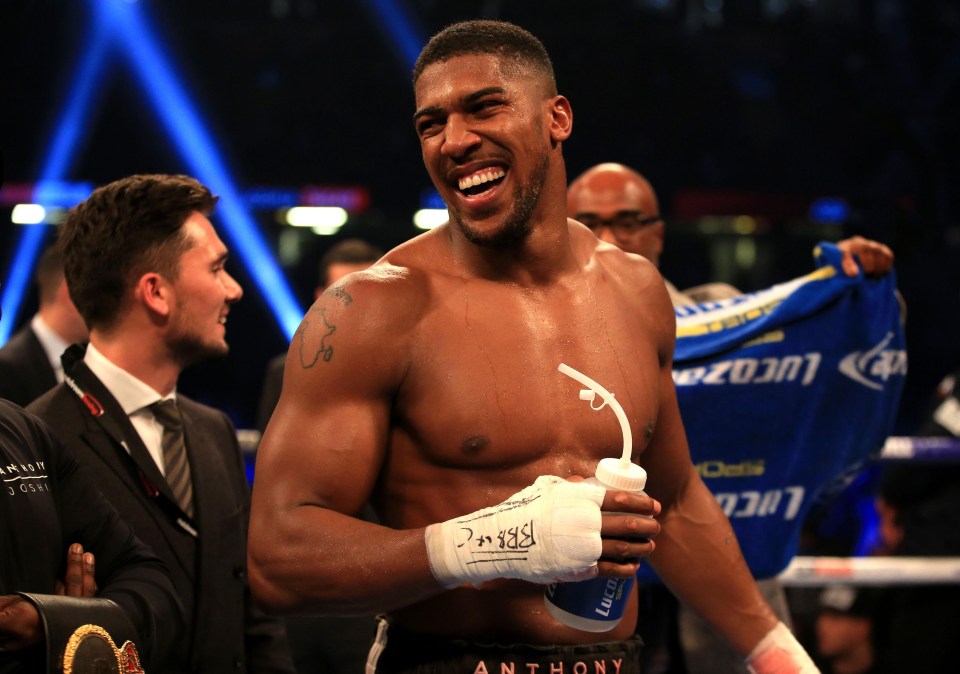 Anthony Joshua could face Deontay Wilder in 2018