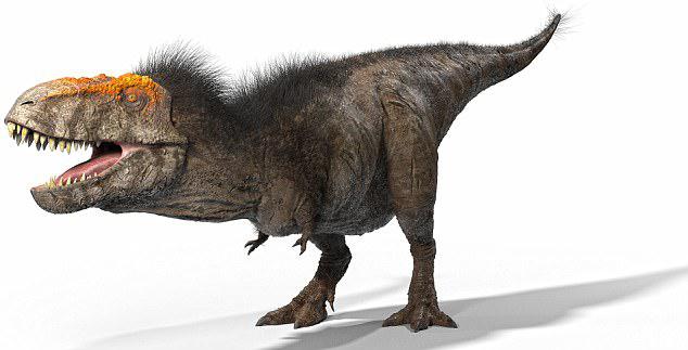  Scientists in The Real T-Rex documentary show claim that the T-Rex had orange markings around its eyes, as well as black feathers