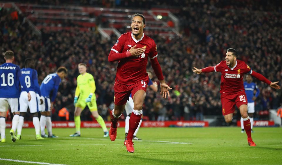 Virgil van Dijk capped a dream debut by scoring the winner for Liverpool against Everton