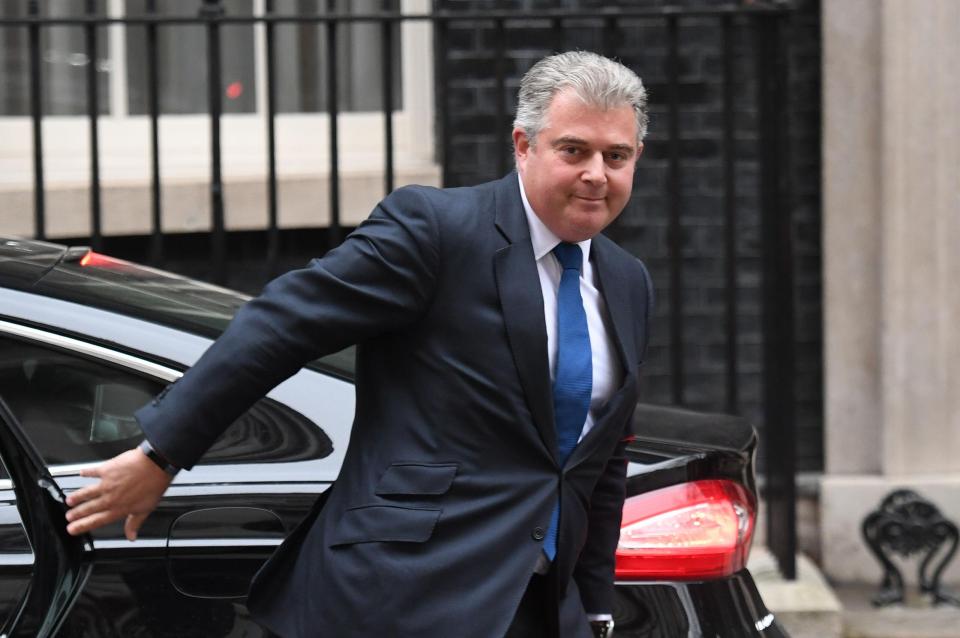  Brandon Lewis has been appointed the new chairman of the Conservative Party