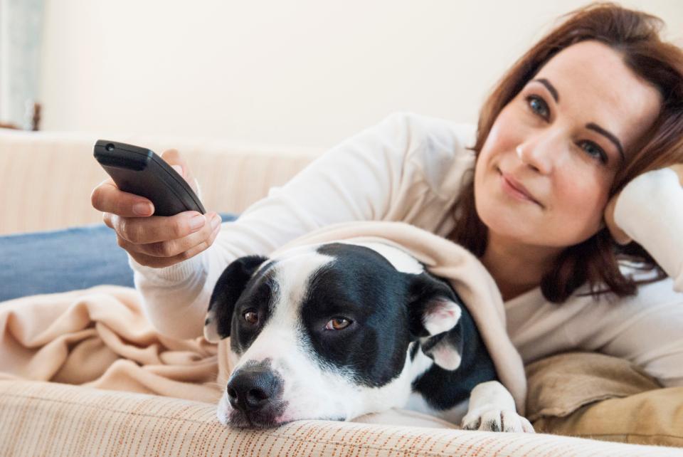  Wish you were on the sofa with your dog? You're not alone (Picture posed by model)