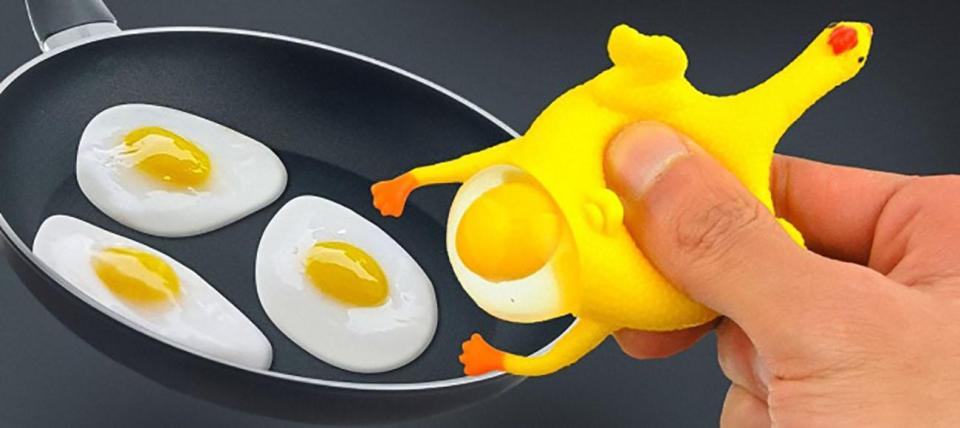  This hen toy doesn't teach children how eggs are really laid