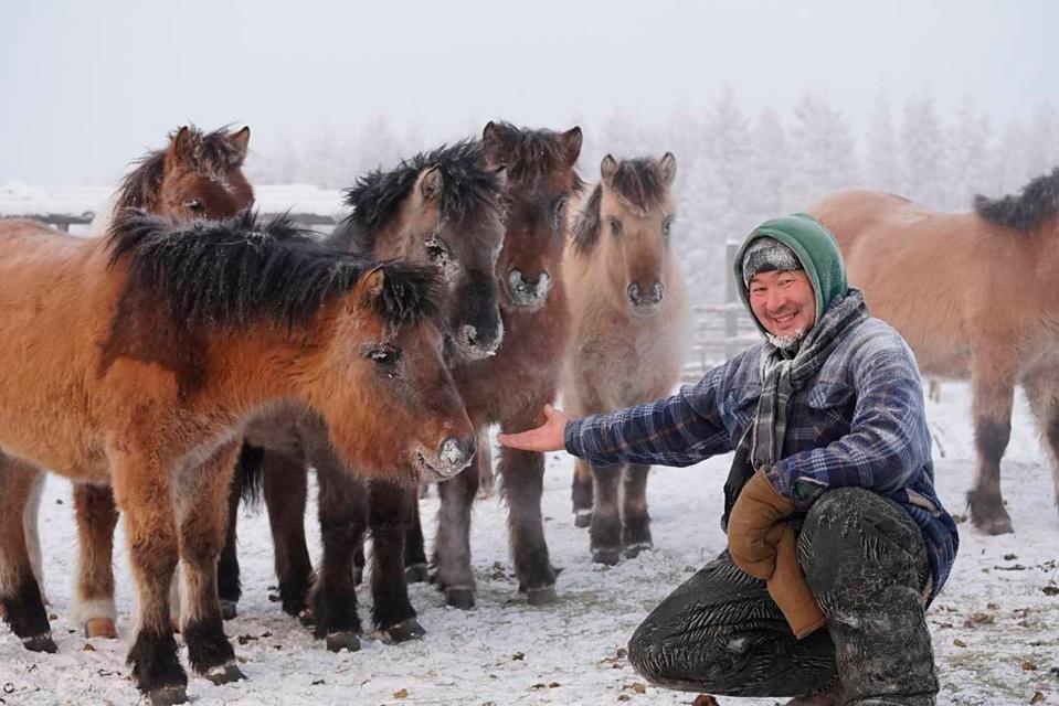  A man feeds his livestock in the freezing snow and ice