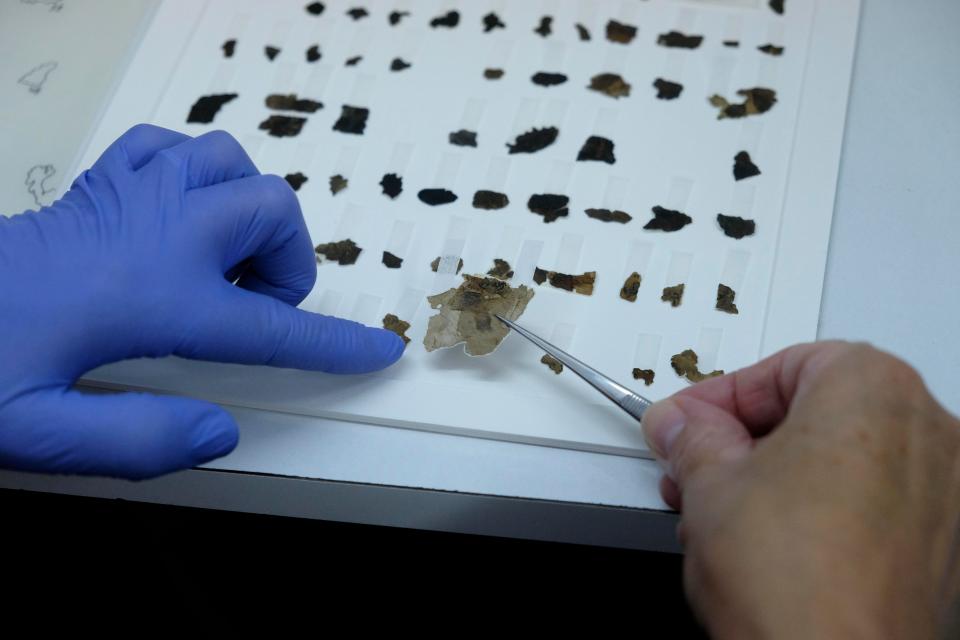  There are more than 100,000 Dead Sea Scrolls fragments, many of which are in private collections spread across the globe