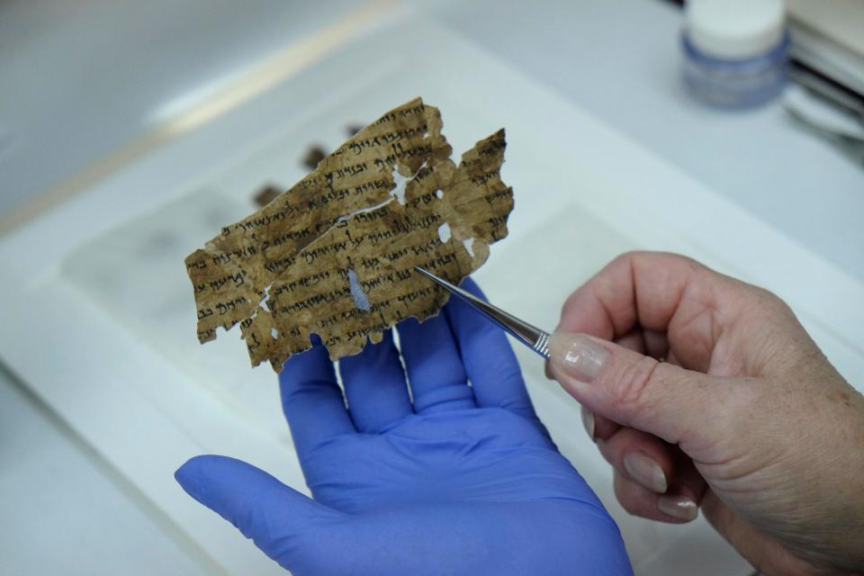  A team analysed 16 leathery fragments purporting to have once formed part of the famous scrolls. Pictured is a real Dead Sea Scroll fragment