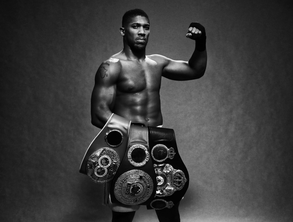 Anthony Joshua has three world heavyweight titles, that will be up for grabs on March 31